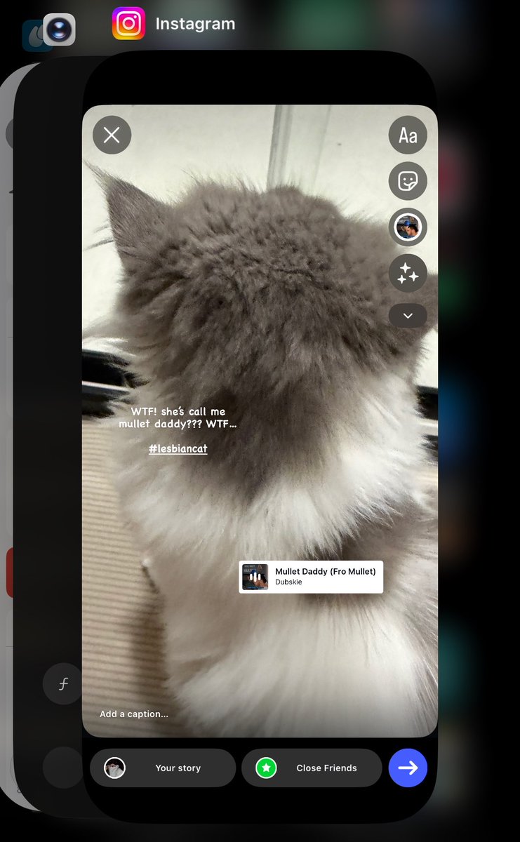 kittybl8de's tweet photo. https://t.co/CUOvO3TxCv