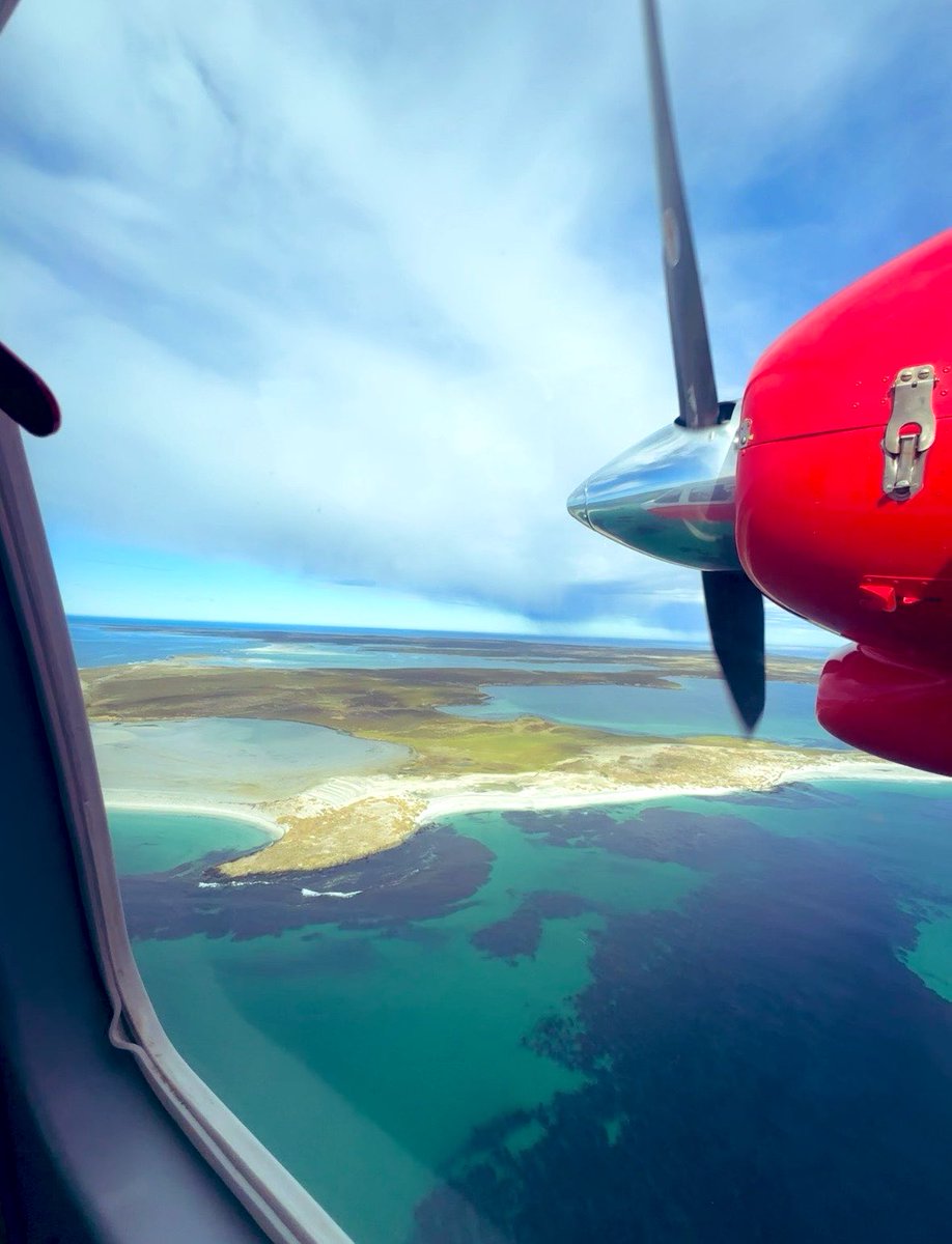 GHFalklands's tweet photo. Happy World Tourism Day 🌍

From local distilleries and a brewery to museums, wildlife tours and breathtaking views from FIGAS planes, there’s so much to discover in the Falkland Islands. 

#Falklands #WorldTourismDay https://t.co/3mD7Z513T1
