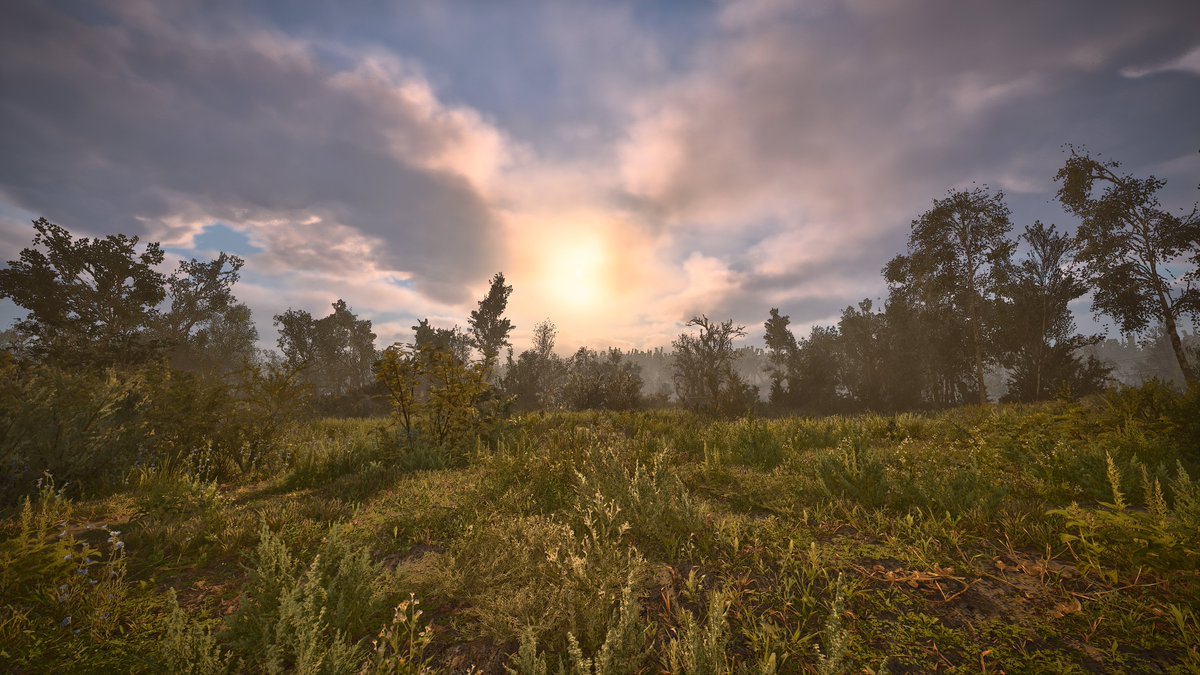 YuritoDreams's tweet photo. Me está Putoencantando el STALKER 2 la primera vez que jugué me decepcionó completamente pero ahora.... #Stalker2 #Xbox https://t.co/sZ7aN4cbCo