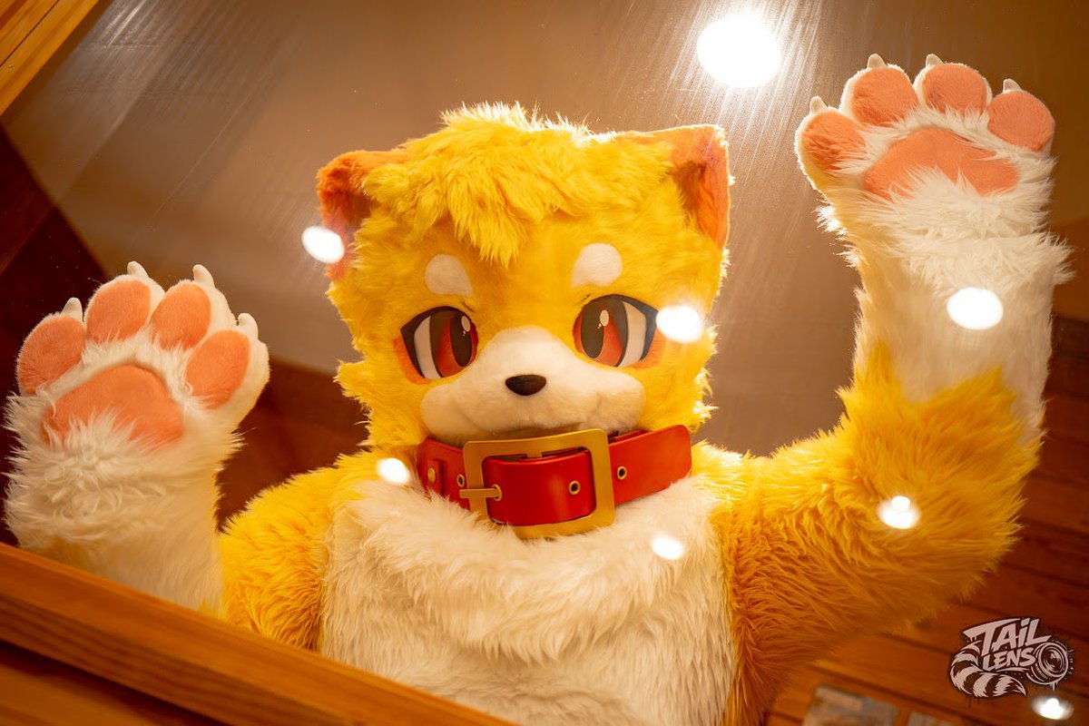 KemoPito's tweet photo. 何してるのー?✨✨

📸@TailLens96 

#ふぁーろっじ
#りす村別荘 https://t.co/Zjro40mKOA