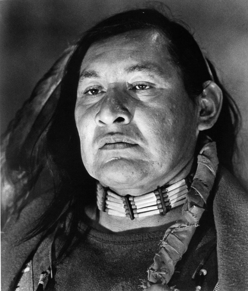 DavidLambertArt's tweet photo. Happy Birthday to the late Will Sampson, born 93 years ago today https://t.co/S6GkykWvC3