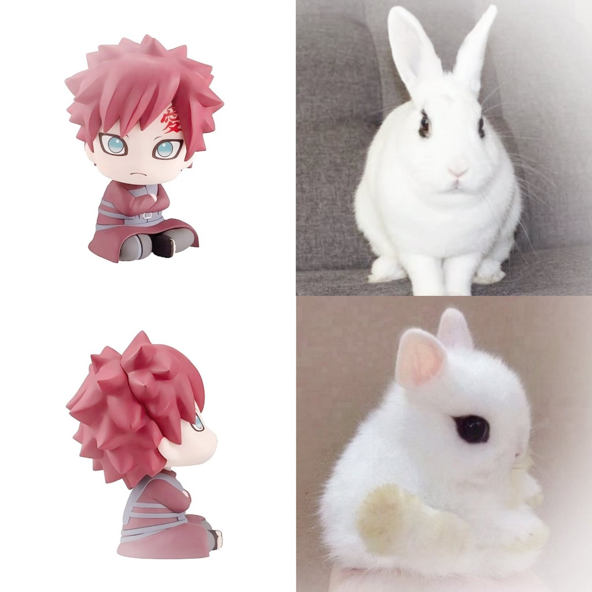 gaarasbunny's tweet photo. happy national bunny day to the first ever humanized hotot bunny 🐰♡ https://t.co/DRQM4YjBhv