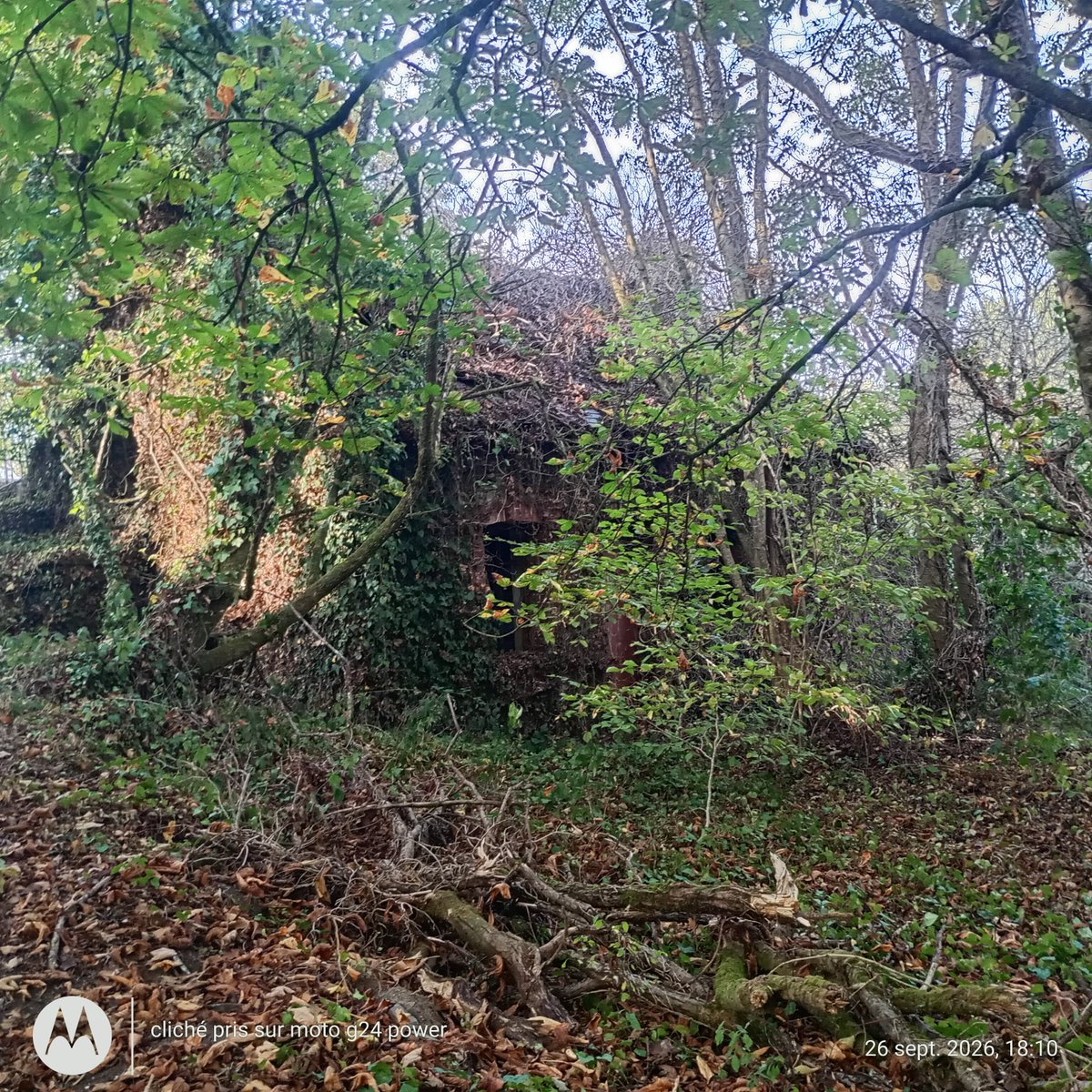 ThiChaplain's tweet photo. Qui cherche une maison en Ruralité a réhabiliter intégralement. Y en a un paquet dans le #KreizBreizh, la #désindustrialisation des années 1920, les #mines d'#ardoises #bretonnes étaient moins #rentables que celle de #Trélazé dans le Maine-et-Loire. https://t.co/31CZWWnTiv
