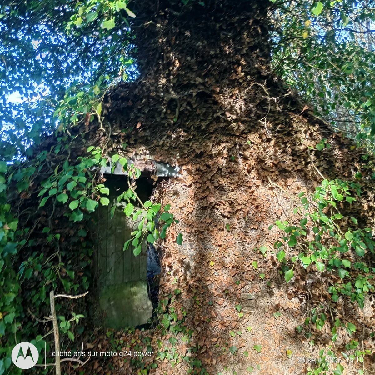 ThiChaplain's tweet photo. Qui cherche une maison en Ruralité a réhabiliter intégralement. Y en a un paquet dans le #KreizBreizh, la #désindustrialisation des années 1920, les #mines d'#ardoises #bretonnes étaient moins #rentables que celle de #Trélazé dans le Maine-et-Loire. https://t.co/31CZWWnTiv