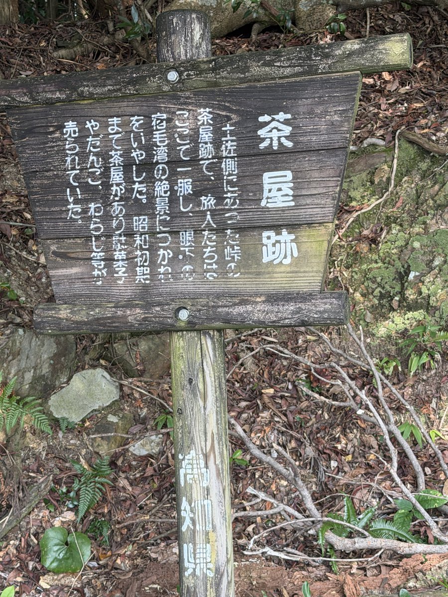 mk420_935's tweet photo. 10:50 軽めの食事休暇をとり出発
トイレもありましたが、集落に下山するまで我慢
愛媛県の皆様お邪魔します🙇‍♀️

ここからは緩やかな下りで歩き易く立派な柵もありました https://t.co/nP1LRpNbfe