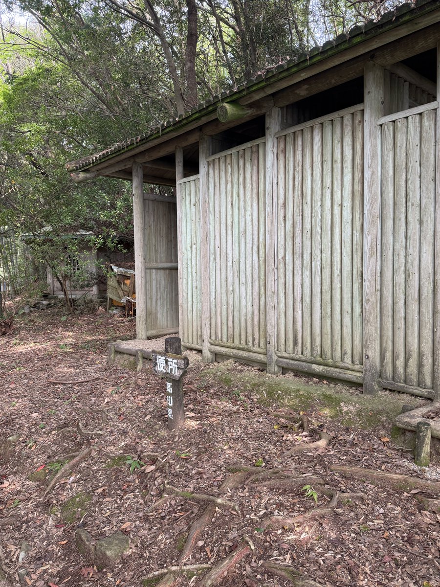 mk420_935's tweet photo. 10:50 軽めの食事休暇をとり出発
トイレもありましたが、集落に下山するまで我慢
愛媛県の皆様お邪魔します🙇‍♀️

ここからは緩やかな下りで歩き易く立派な柵もありました https://t.co/nP1LRpNbfe