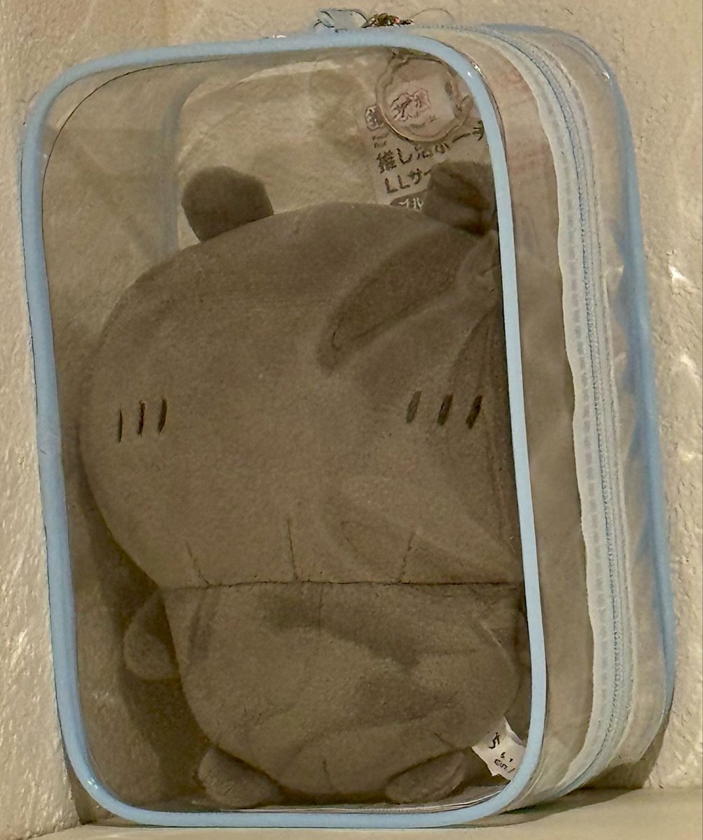 nibi_info's tweet photo. ちいかわのぬいぐるみ買った！
ぴったりのケースに入れて
日の当たらない所で保管する https://t.co/BQ947mZxFV