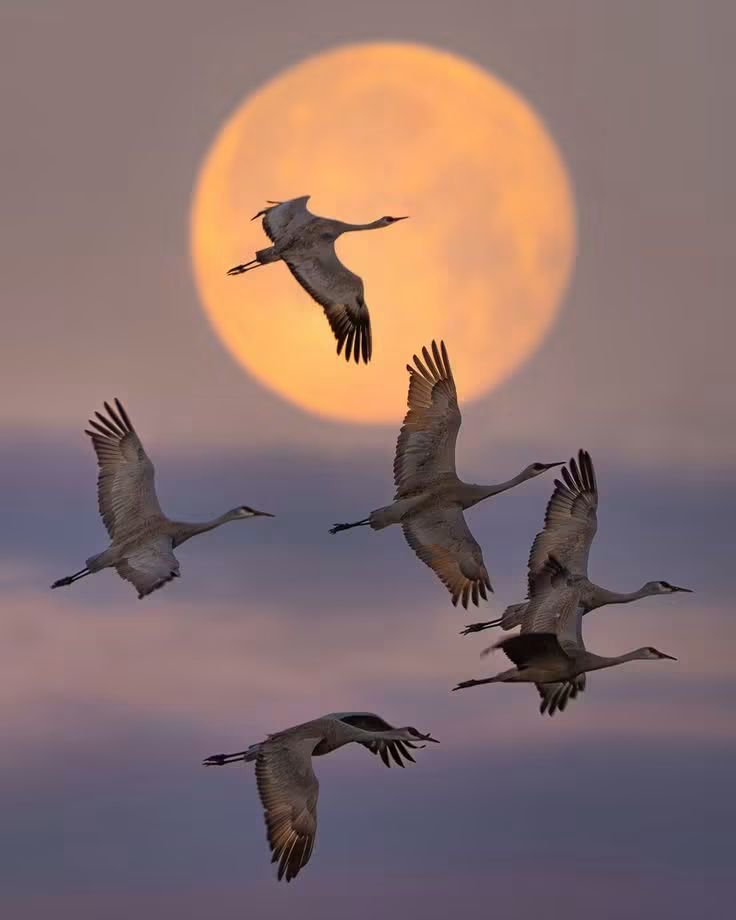 AnneAndrevegte's tweet photo. #FlyBy https://t.co/SBTG3esglW