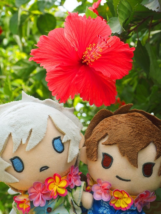 LSsNUILIFE000's tweet photo. #ぬいぐるみエコツアー https://t.co/Xl7DunWXfc