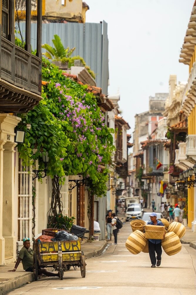 VagamundosViaje's tweet photo. [NUEVO] Guía de viaje de #Cartagena de Indias: qué ver, qué hacer, qué comer y donde en la ciudad caribeña, la más bella de #Colombia 

https://t.co/OCSHRt3pl7

@AlcaldiaCTG @Colombia @CtgenaDeIndias @colombia_travel @PROCOLOMBIACO https://t.co/OMVMwKjTbz