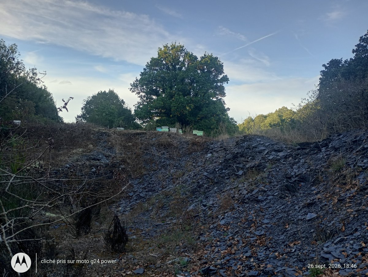 ThiChaplain's tweet photo. Vestiges d'une #mine d'ardoises à #Motreff et des #ruches. Oui un ancien site #industriel (même pas certain qu'il a été dépollué) peut acceuillir un #apiculteur. #Finistère #Bretagne #Histoire https://t.co/NrqdxKrIzi