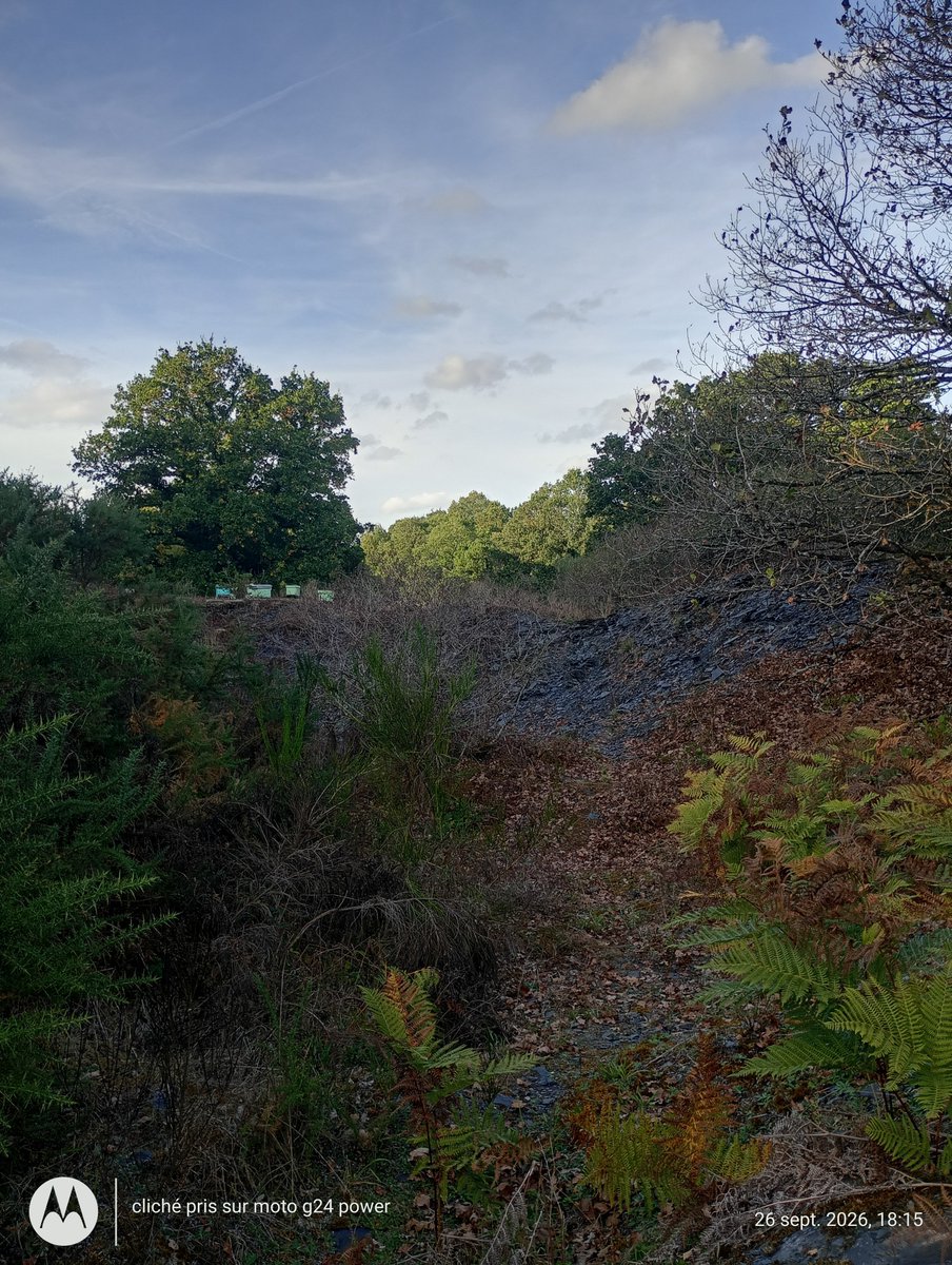 ThiChaplain's tweet photo. Vestiges d'une #mine d'ardoises à #Motreff et des #ruches. Oui un ancien site #industriel (même pas certain qu'il a été dépollué) peut acceuillir un #apiculteur. #Finistère #Bretagne #Histoire https://t.co/NrqdxKrIzi
