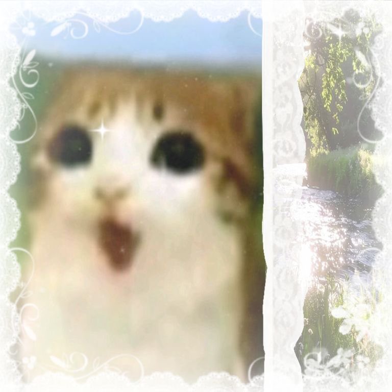 N0T_S0_S3CR3T's tweet photo. 🪶⠀𓏲 Clownie / Kai’s intro ! ! 🪽
⠀ Any prns (They / Angel)
Aroace & Non-binary !!
⠀⠀ 16yr!!
𝜗𓏲⠀
#Hannibaltwt #Spntwt
#yumetwt #Marveltwt < 3
#arttwt #GOtwt https://t.co/zuG67OaQp0