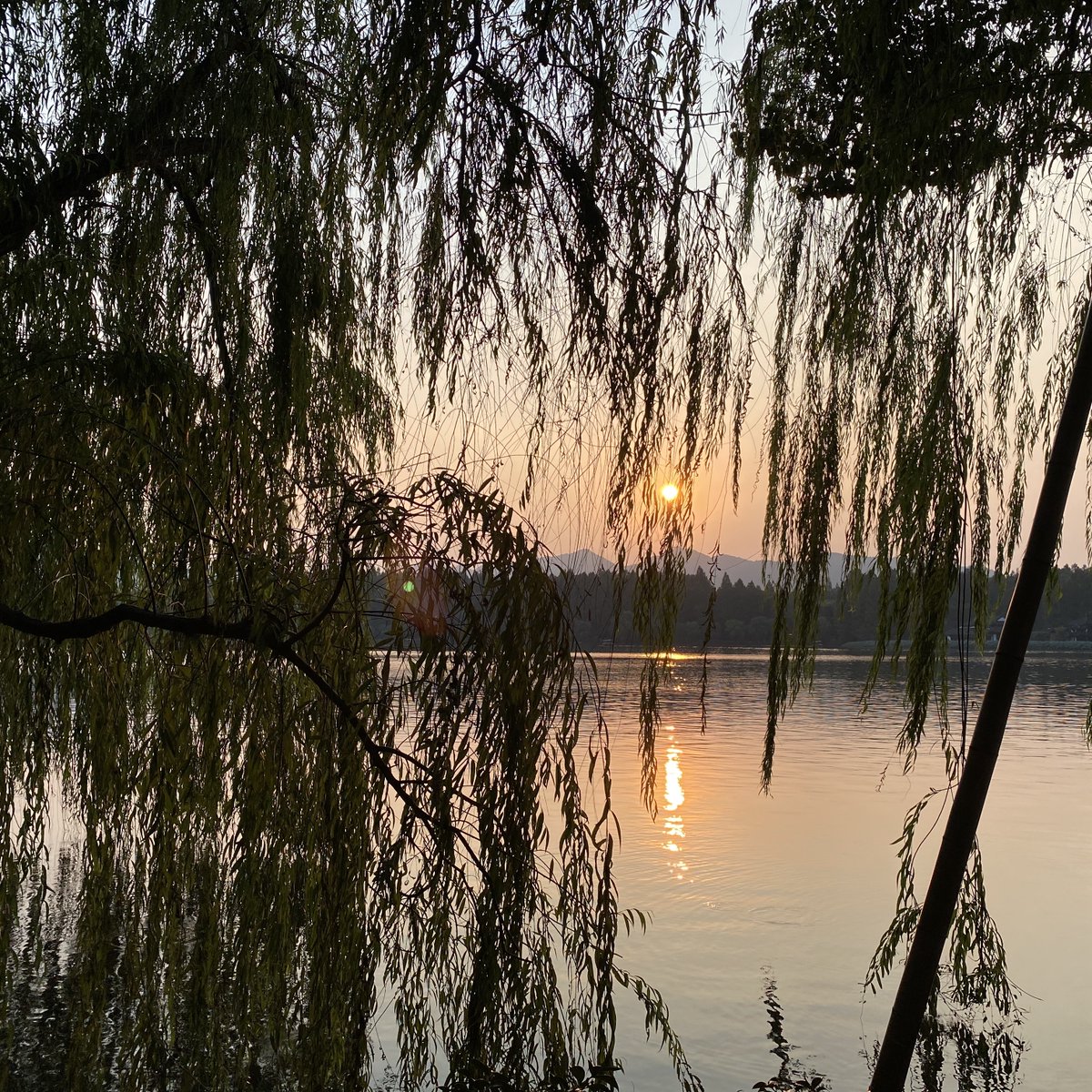 samabby42918's tweet photo. New to photography Start with mastering natural light – it’s free, forgiving, and makes even basic shots look warm and vivid. Experiment with golden hour for dreamy vibes or cloudy days for soft, even tones.， https://t.co/zWF3UwzHFu