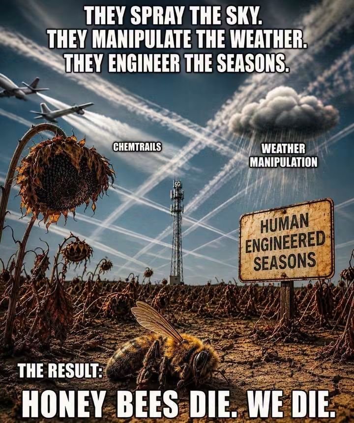 NICKBAZINE58571's tweet photo. IF IT'S NOT COMPLETELY SHUT DOWN "WORLDWIDE", WE ARE ALL  "DOOMED".👇COME ON, CITIZENS OF THE WORLD.
NATURE LOVERS.
FARMERS...
WHY ARE YOU STUMPED!
ARE YOU BLIND?
DON'T YOU CARE?
AFRAID OF BEING LABELED A CONSPIRACY THEORIST? 
SERIOUSLY! COME ON! 
THE SILENCE IS DEAFENING!😶‍🌫️👇😶‍🌫️ https://t.co/DefULjJ5y0
