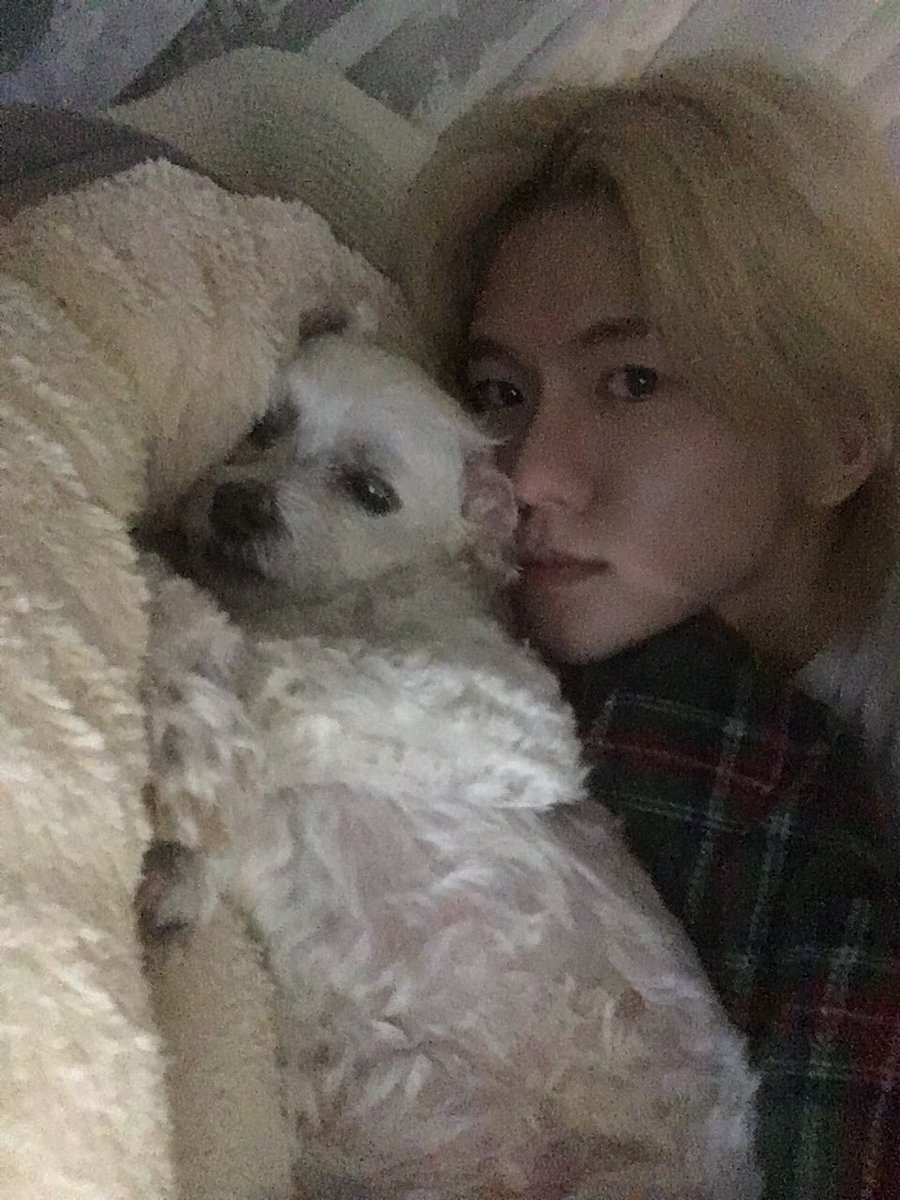 NewBeat_twt's tweet photo. [#홍민성]

졸린데 괴롭혀서 미안해 다롱아😘 https://t.co/zAdsZTeuVV