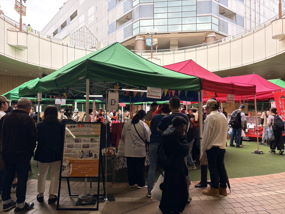 NPO_CATS2026's tweet photo. 昨日は４回目の「CATS譲渡会プラス」
今回はイズミマルシェと同時開催の「HAPPY CAT譲渡会」への参加です。
多くの皆様に足を運んでいただき心より感謝申し上げます。

いつもの「飼い主のいない猫に関する相談会」やグッズ販売、チャリティー販売会も同時開催いたしました。

本日の集計
来場者数　オープンスペース（たくさん😅）
トライアル申込　９件
相談件数　２件
募金箱　¥21,097
グッズ　¥12,800
チ��リティー　¥4,500
合　計　¥38,397

次回の開催は！
🍀お日にち
9月26日（土）
🍀会場
ブランチ仙台　まちづくりスポット
仙台市泉区長命ヶ丘２丁目21-1　ブランチ仙台WEST108区画 
🍀時間
・譲渡会　10:30〜14:30
・チャリティ販売・猫の相談会　10:30〜15:00

皆様ぜひお越しくださーい😀