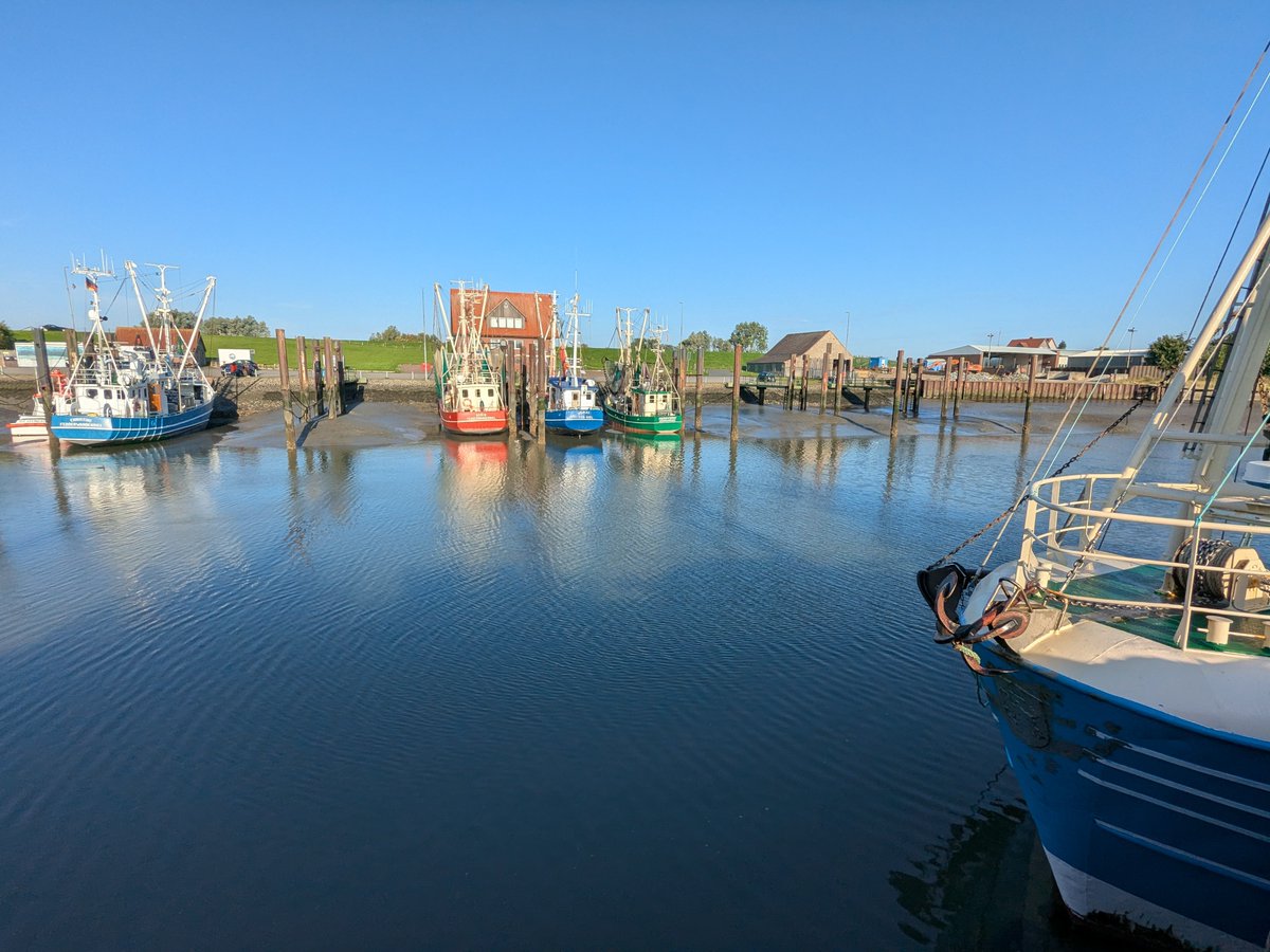 Nordwestroute's tweet photo. Moin aus Butjadingen... #Fedderwardersiel #butjadingen #nordsee #wesermarsch #Burhave #tossens #eckwarderhörne #bremerhaven #Wilhelmshaven https://t.co/nj1cHV7B8k