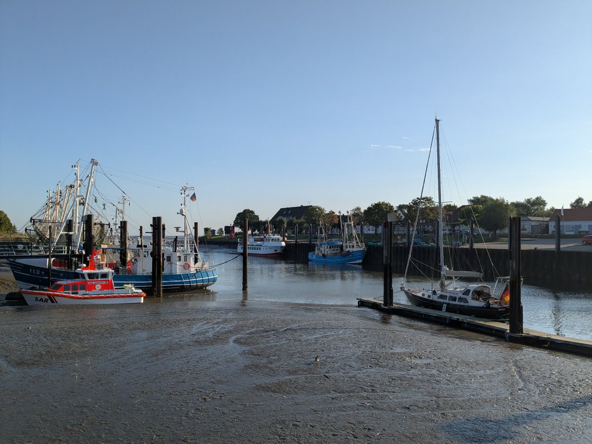 Nordwestroute's tweet photo. Moin aus Butjadingen... #Fedderwardersiel #butjadingen #nordsee #wesermarsch #Burhave #tossens #eckwarderhörne #bremerhaven #Wilhelmshaven https://t.co/nj1cHV7B8k