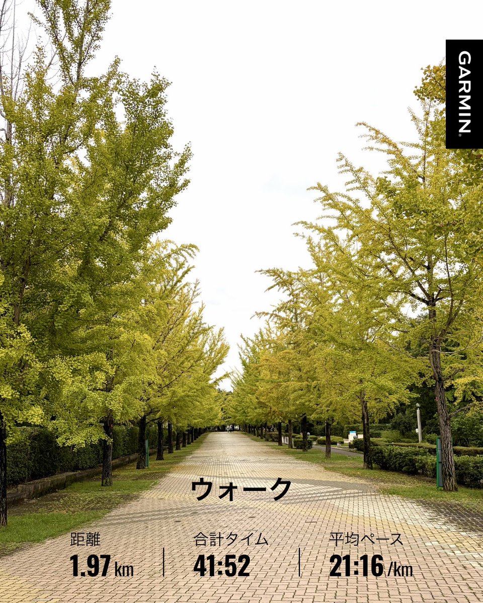 gtr_kai's tweet photo. 3回目の入院・手術が終わり完治！今日退院。1回目胆���ステント4泊5日・2回目胆嚢摘出5泊6日・3回目ステント除去3泊4日。8月後半からほぼ入院でした…
胆石には注意です！

群馬首位！
今日はみんないい試合。これから川崎と名古屋を観戦

#群馬クレインサンダーズ
#Bリーグ
#リハビリ
#ウォーキング https://t.co/h9l2beRkpB