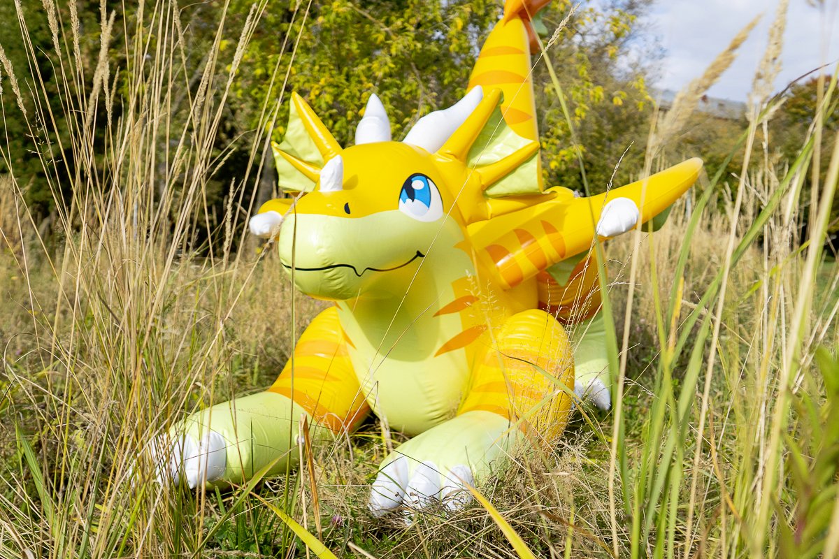 AvikFurry's tweet photo. Cheese Dragon Hunting! #furry #inflatable #pooltoy #Cheese #dragon #MythAnimalCreation thank's
@DUni_Protogen https://t.co/ZMnmlDzyut