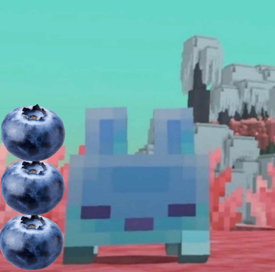 lumilisko0o0o's tweet photo. he is 3 blueberries tall https://t.co/w70HFDEYH1