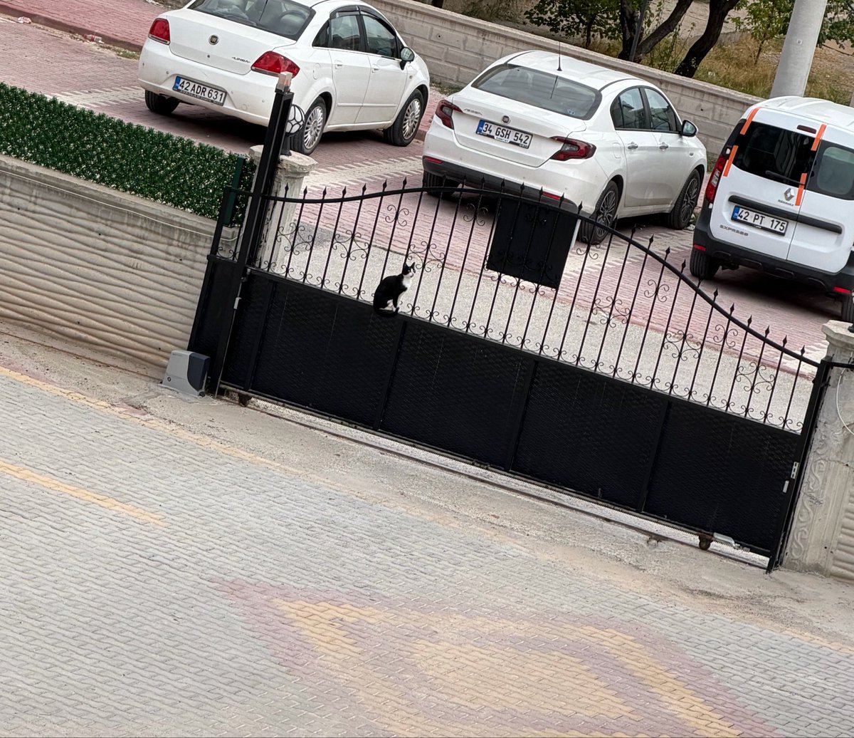 laaViida_'s tweet photo. Napppıııoooosunnn oradaaa https://t.co/uFPMGH7fcS