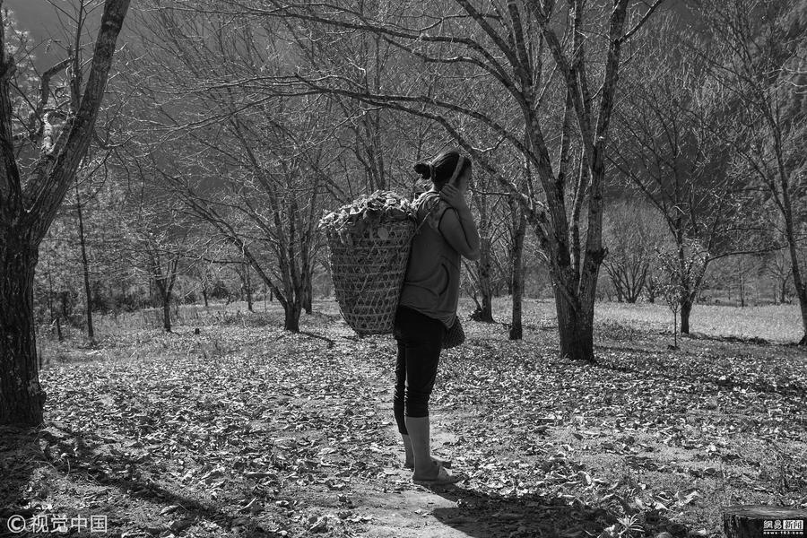 aaronderek86155's tweet photo. Autumn air tastes like crisp apples and crunched leaves—finally, the perfect cozy sweater weather! https://t.co/HEiIYgBVr7