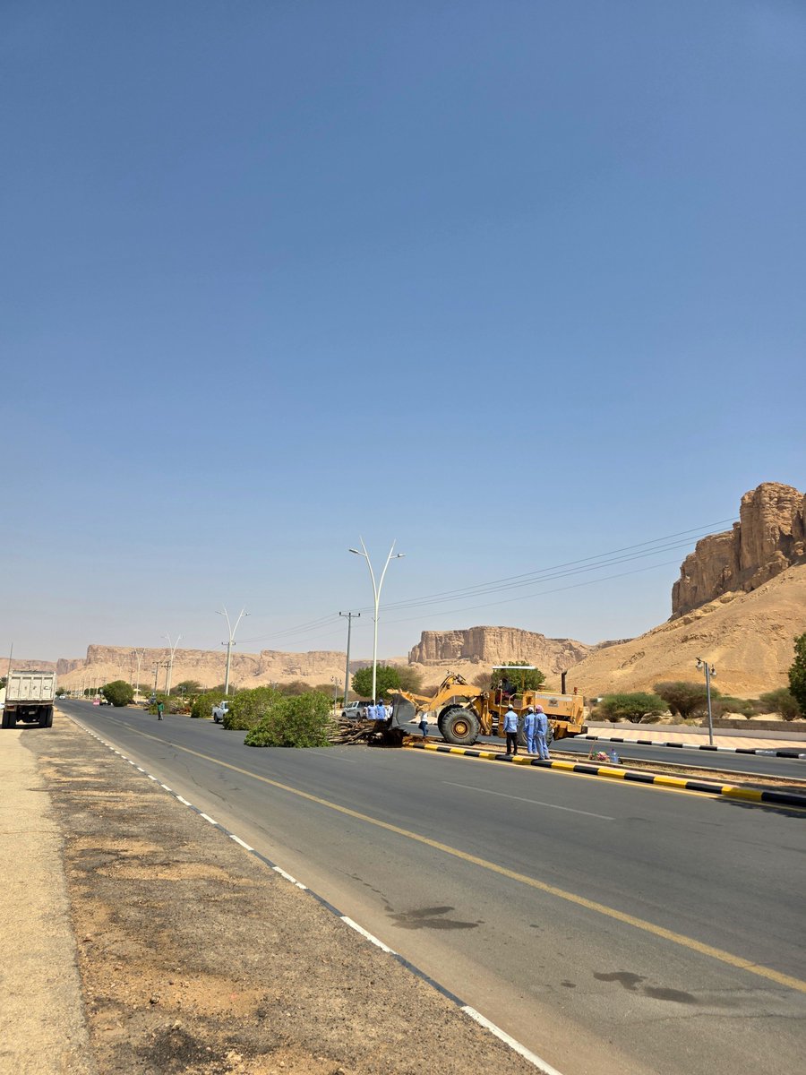 hareqnews's tweet photo. شرعت #بلدية_محافظة_الحريق في ازالة أشجار الكرفس "الكونوكاربس" في عدد من الطرقات الرئيسية بالمحافظة، وسيتم إستبدالها بأشجار الأكاسيا ، ويُعرف هذا النوع من الأشجار"الكرفس"  بآثاره السلبية على البنية التحتية وتمدد جذوره التي قد تتلف الأرصفة والشبكات الأرضية، إلى جانب استهلاكه العالي للمياه، إضافةً لعدة أسباب صحية وبيئية ، يشار الى أن أشجار الكرفس قد مُنعت زراعتها وتكاثرها في عدد من الامانات والبلديات في عدة مدن ومحافظات بالمملكة، واعتبارها من الأشجار الضارة بالبنية التحتية، بالإضافة إلى أنها من مسببات الحساسية، حيث تسبب أوراقها وأزهارها المتساقطة حساسية ومشاكل بالجهاز التنفسي لدى البعض بسبب تجمع الغبار والأتربة عليها وايضا الروائح المنبعثة من اغصانها وأوراقها.