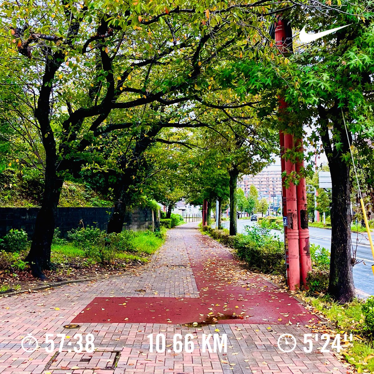 mellow73_blog's tweet photo. 昼ラン♪
雨ラン!
お昼まで仕事…
やっぱり走りたくなりました

#昼ラン #ランニング 
#雨ラン #仕事あと 
#9月 #秋 #福岡 https://t.co/5D1N0Qbwmp
