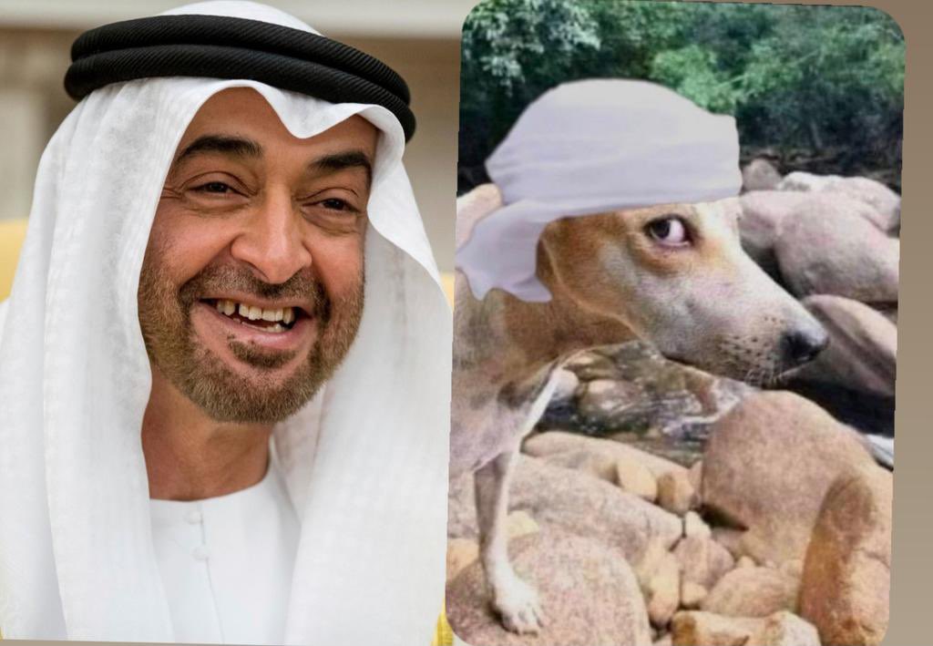 RvAsiri's tweet photo. @UAEAdJum @moiuae @ADPoliceHQ @ad_mobility اخوي الله يعافيك هذا كلبي ضايع إذا حصلته دق  امك https://t.co/NcSojENwlm