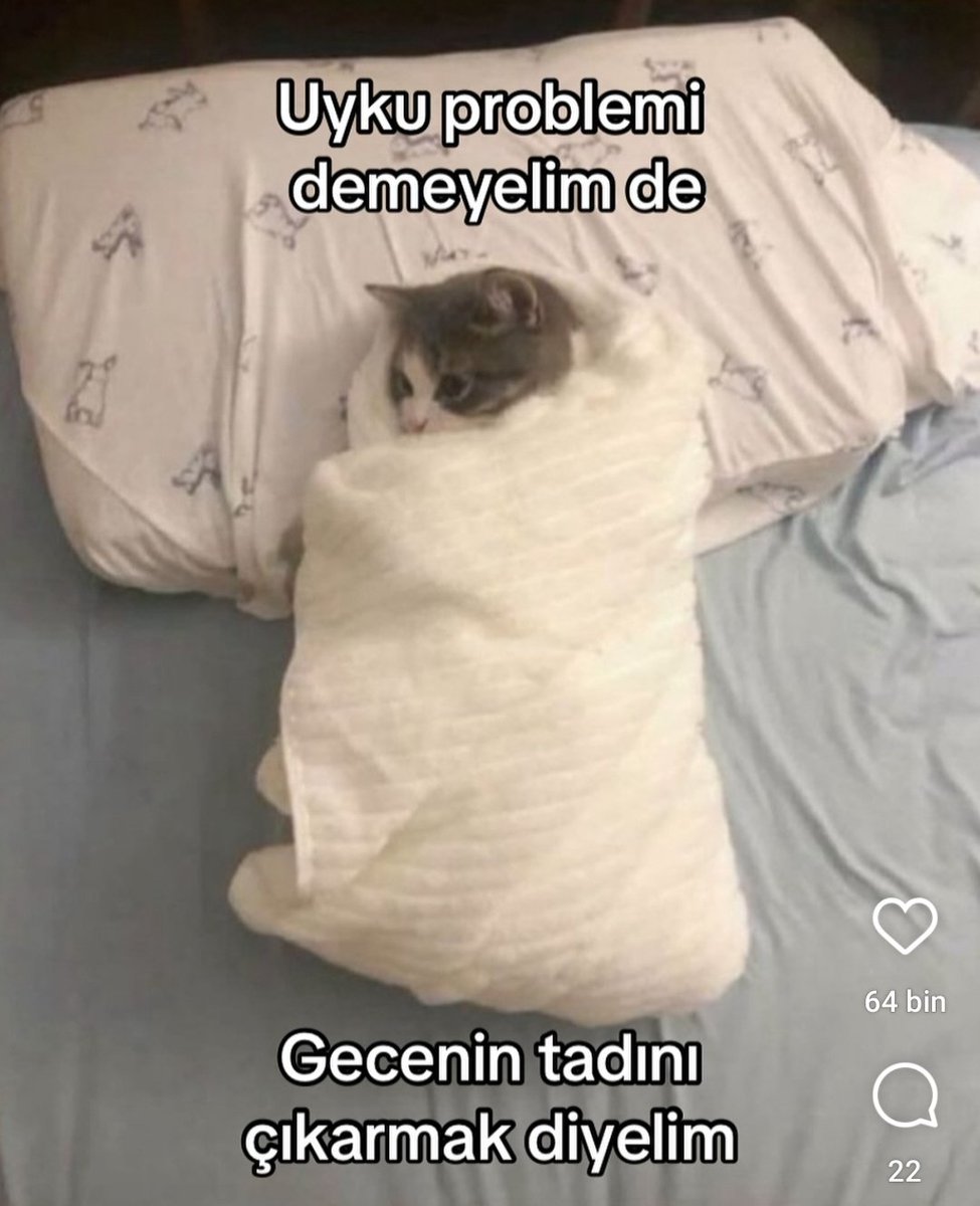 Grimgala's tweet photo. Gecenin tadı: acaba gelecekteki eşim şu an hangi erkekle konuşuyor? diye düşünürken. https://t.co/awSTGEFEpl
