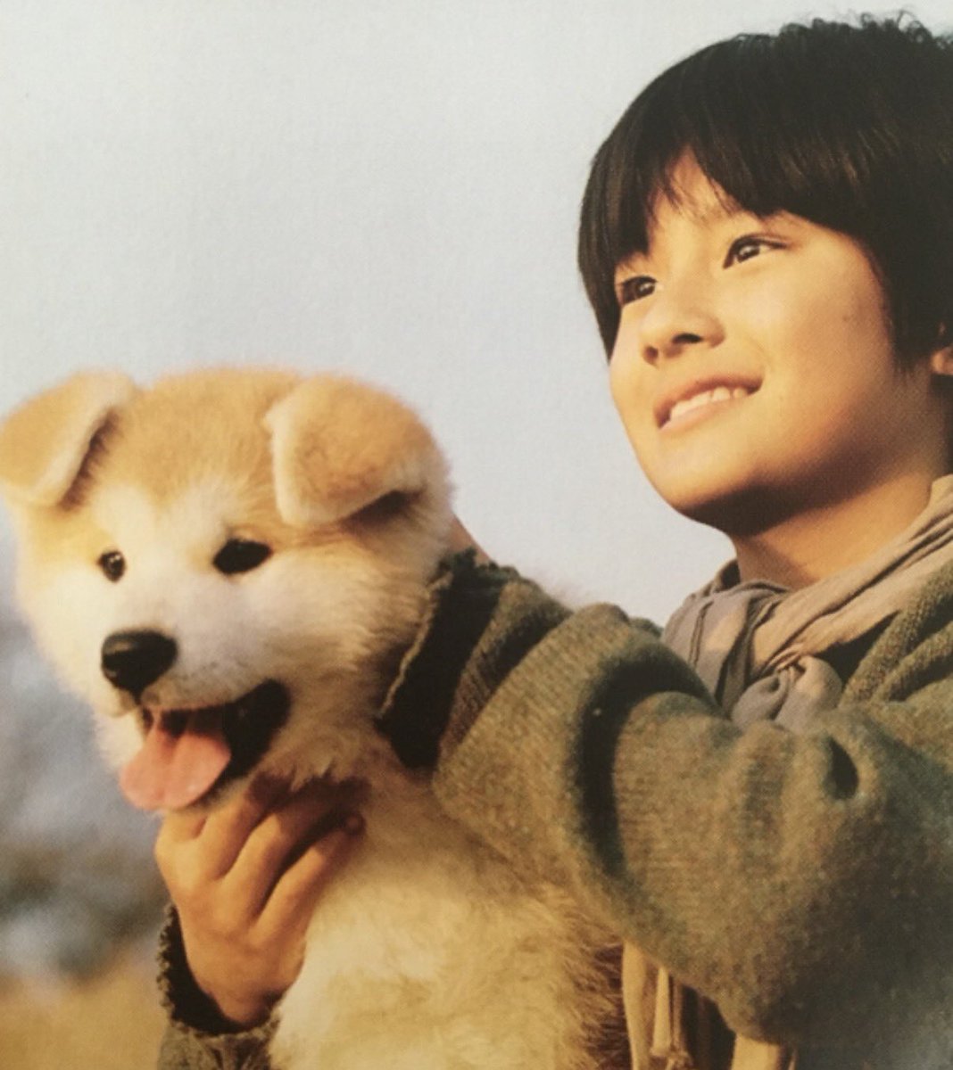 kawaiikawaiilo's tweet photo. 森本慎太郎（12）主演のスノープリンス、改めて見返したらﾎﾝﾏﾆ慎太郎変わってないです😭😭お顔も仕草も表情も全部今の慎太郎のまんま😭滝涙すぎるので途中途中今の元気な慎太郎見て心落ち着かせながらみんな見て😭慎太郎の愛犬ちぃちゃんも出演してます
2020年に再上映もしてたけど今見るならDVD https://t.co/oPY5YK20g7