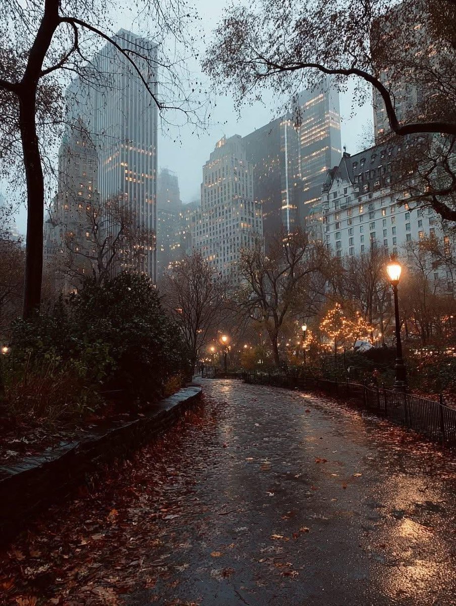 earthviewss1's tweet photo. Foggy Autumn in New York 🇺🇸 🍂 https://t.co/nxkCs29Cgq