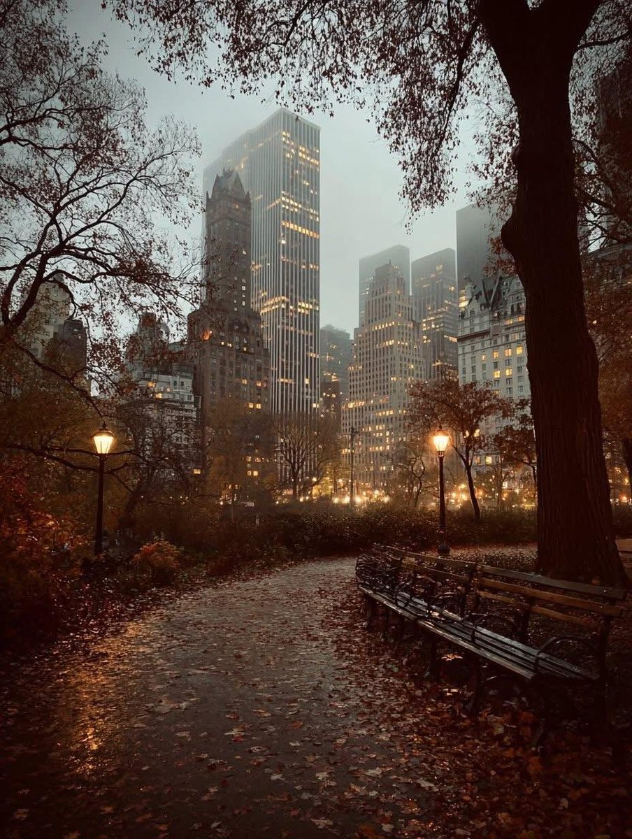 earthviewss1's tweet photo. Foggy Autumn in New York 🇺🇸 🍂 https://t.co/nxkCs29Cgq