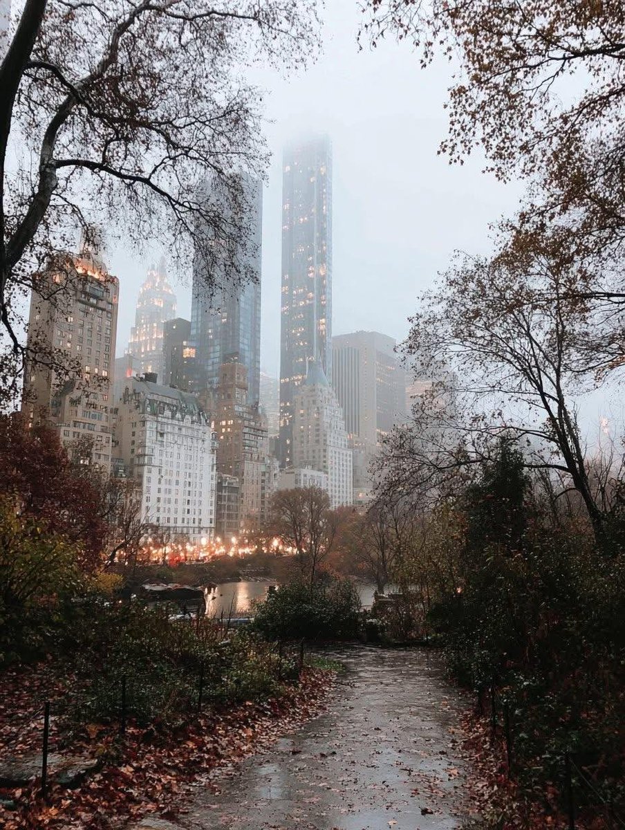 earthviewss1's tweet photo. Foggy Autumn in New York 🇺🇸 🍂 https://t.co/nxkCs29Cgq