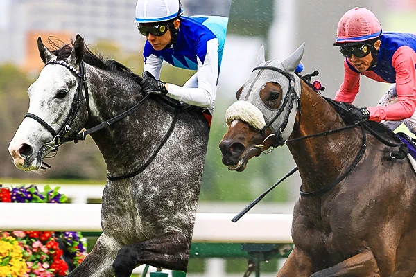 JRA-VAN公式 on X: 