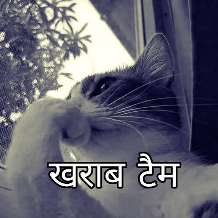 _YellowFlash_12's tweet photo. @Nepalihindutva Thoda bi nahi? https://t.co/4UE92K4uF2
