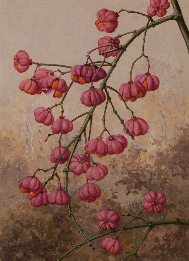 ArtGuideAlex's tweet photo. Morning..
#JanVoermanJnr https://t.co/XhW1iUMmrT
