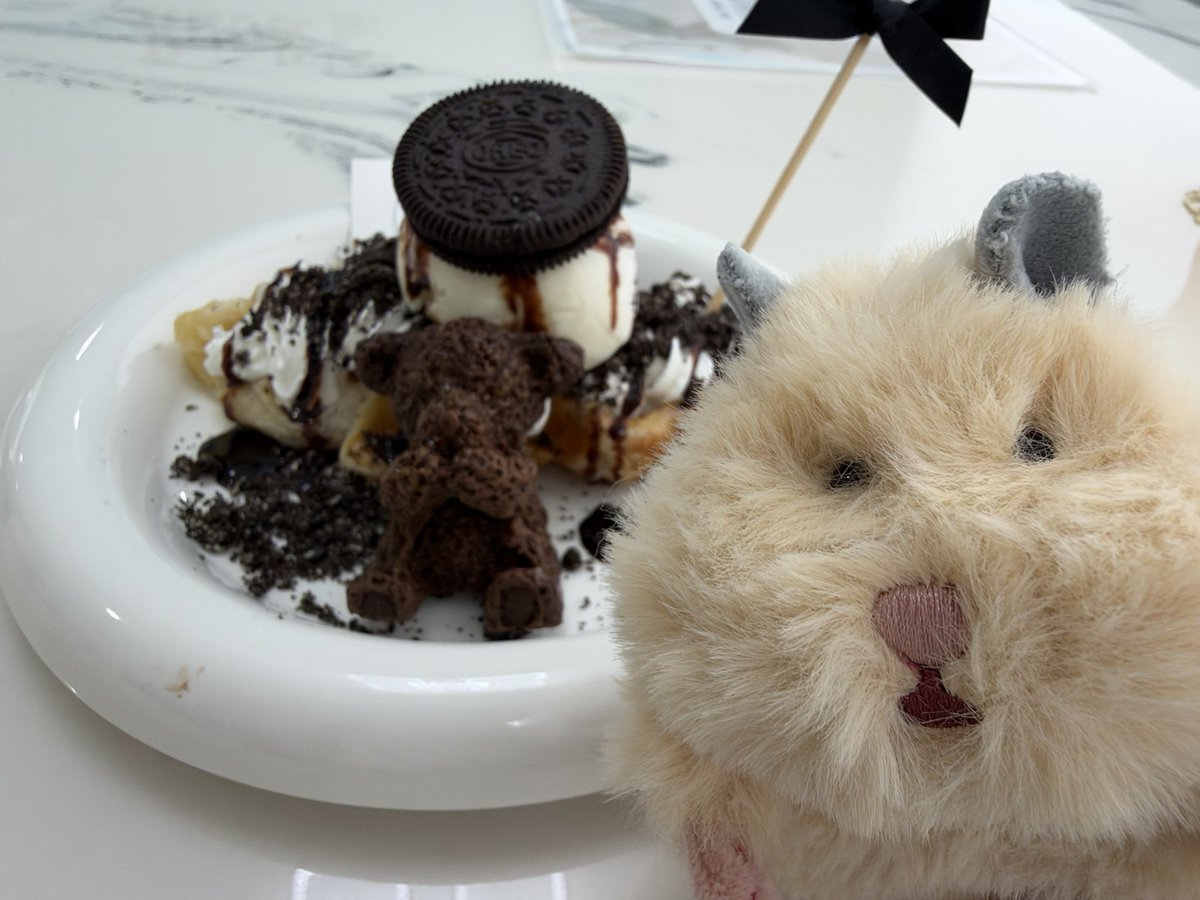 owner__SS's tweet photo. 友達とカフェに行ってきました🧸🥞

中に入るとオルゴールのBGMと
座り心地のいいソファーで落ち着いたし
最近疲れてるからか
それも相まってボケーッとしてましたわ😂

はむすけ、カフェデビューしましたι( ·-· )/ https://t.co/mDeCJBJK6N