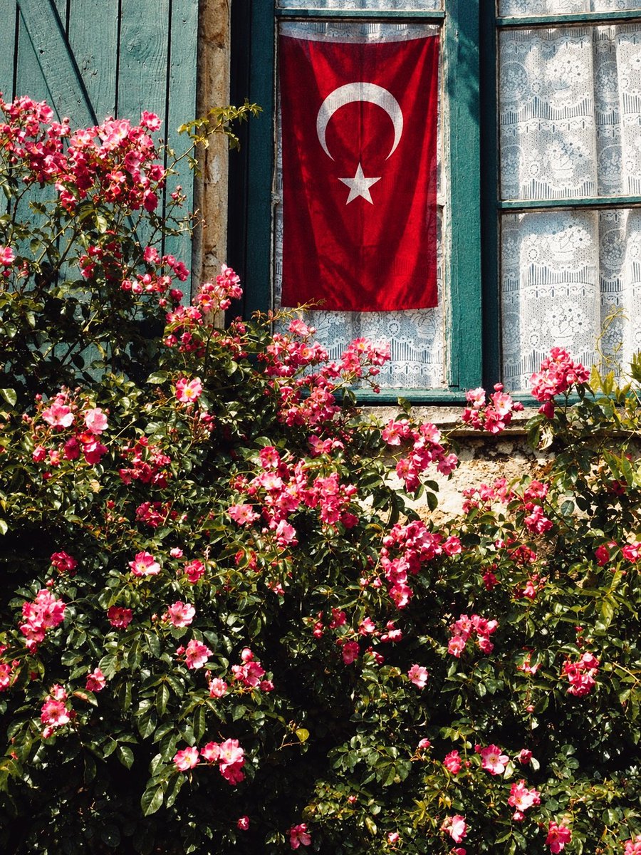 esref_1883's tweet photo. “sen miydin o mehpâre, o memnû, o dilrûbâ?” 🇹🇷 https://t.co/jdfRCPzDFA