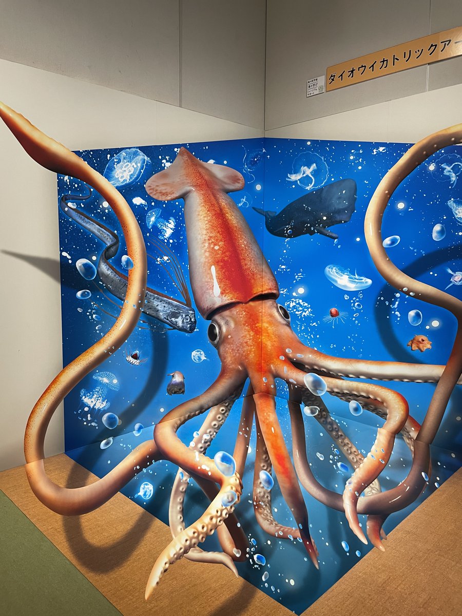 maruyubesi2022's tweet photo. 昨日、茨城県自然博物館で
本日まで開催された企画展
#海の骨なし動物　
行ってきました
学術とアートが交錯する展示会
骨なし動物の歌、頭に残ります… https://t.co/koDG3o16Dm