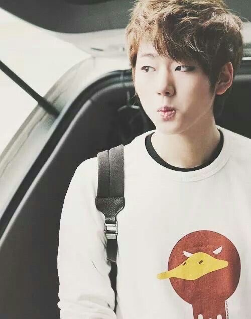 pomSangg's tweet photo. 와 머짖 왤캐 이뿌니야 https://t.co/JXNp9klcPL
