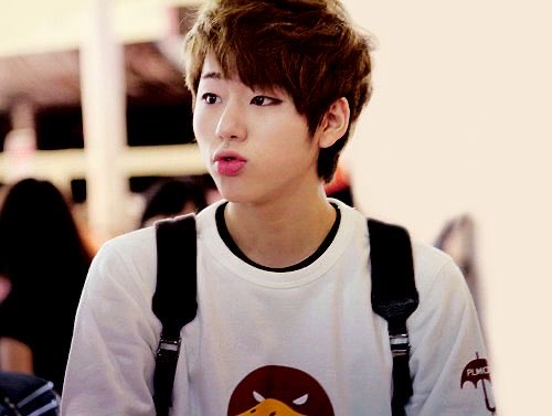 pomSangg's tweet photo. 와 머짖 왤캐 이뿌니야 https://t.co/JXNp9klcPL
