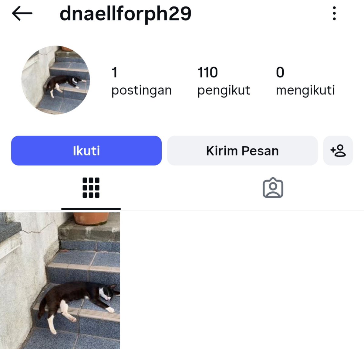 gedndut's tweet photo. Want to sell JUAL AKUN INSTAGRAM RECEHAN 
🍀 
- followers innactive! 
- pembuatan februari 2025 (no logo new)
Harga 13k saja! 

#zonauang wtb acc ig murah old wts https://t.co/1ZmgxKnxZ7