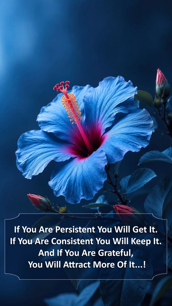 charlivlb's tweet photo. If You Are Persistent You Will Get It. If You Are Consistent You Will Keep It. And If You Are Grateful, You Will Attract More Of It...!

#quote #quotes #life #lifequote #persistent #consistent #great #greatful #attract #attractive #hibiscus #bluehibiscus #raresthibiscus https://t.co/nctPB1ao6K