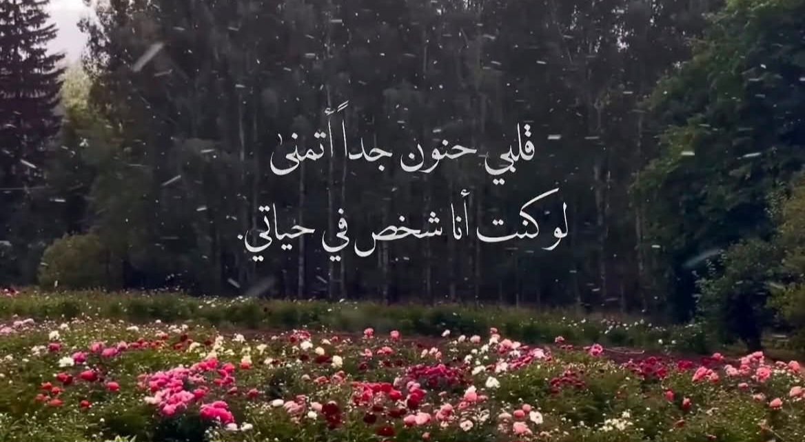 esraa7_5's tweet photo. https://t.co/DkF3nL1t0P