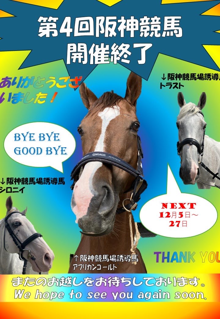 HanshinKeibaJo's tweet photo. お客様へ

本日をもって第4回阪神競馬が終了しました。
ご来場いただいた方、本当にありがとうございました！！🍁

また12月の第5回阪神競馬をどうぞお楽しみに！

来週からの営業はパークウインズとなります。

皆さまのご来場をお待ちしております❗️

アフリカンゴールドより https://t.co/tGKes2TKNs