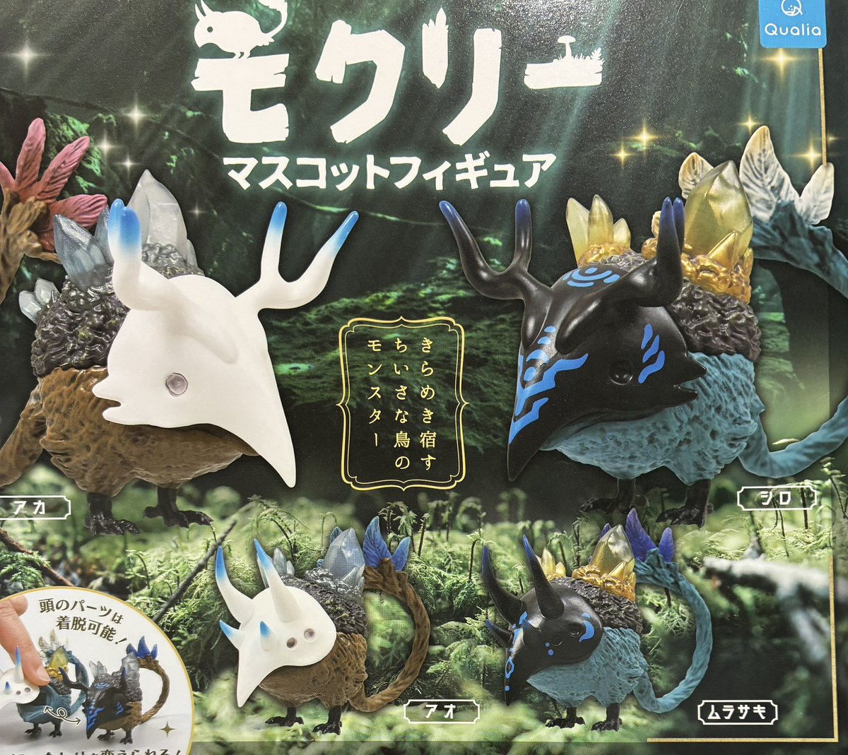 高崎オーパの入荷情報の写真