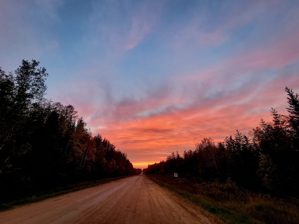 karra_moonstone's tweet photo. This time of year is the greatest time ! What a beautiful drive from Slave Lake AB 🇨🇦 》》 this is the turnoff  to Chisholm AB 🇨🇦 
The colorful fall leaves with a bright pink sunset ✨️ it was an amazing sight https://t.co/RIiD28z8qn